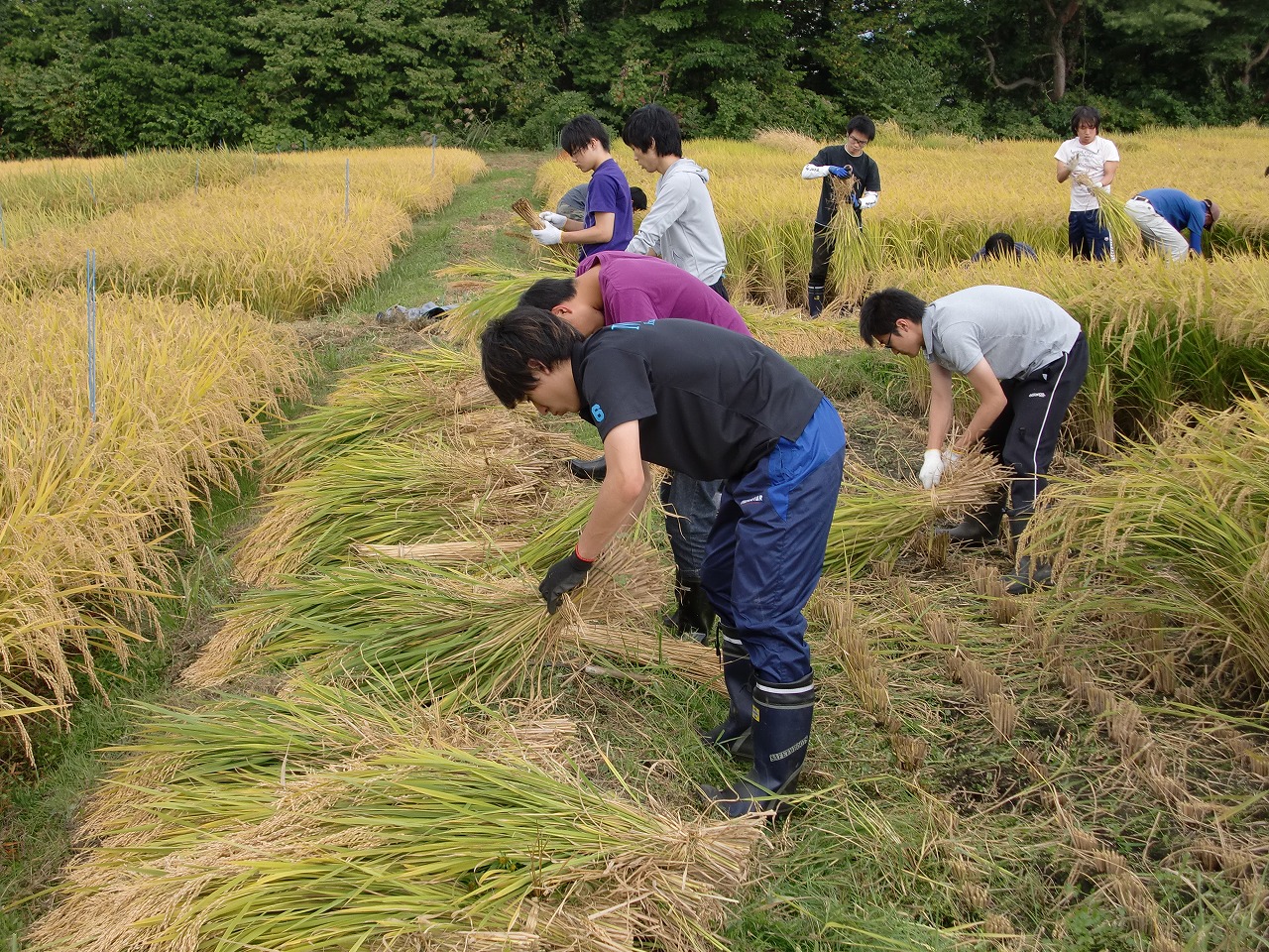 ���K�̗l�q