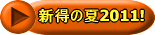 �V���̉�2010! 